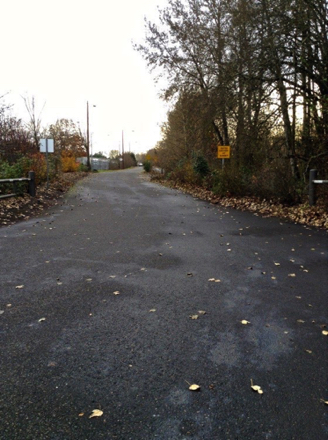 Road going into the park to the parking lot